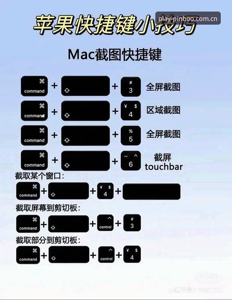 平博全新版本使用教程：从入门到精通的操作指南